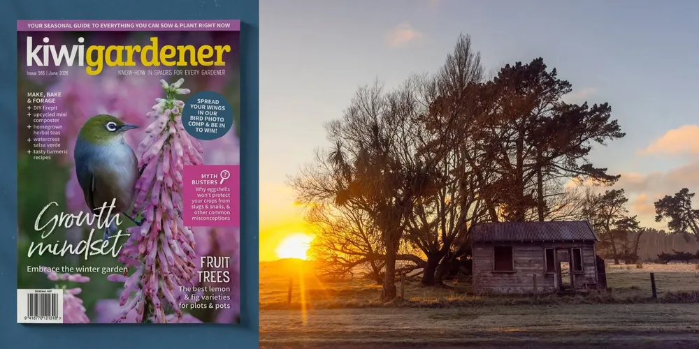 Kiwi Gardener Cover und Landschaftsfotografie von Ellie Morgan